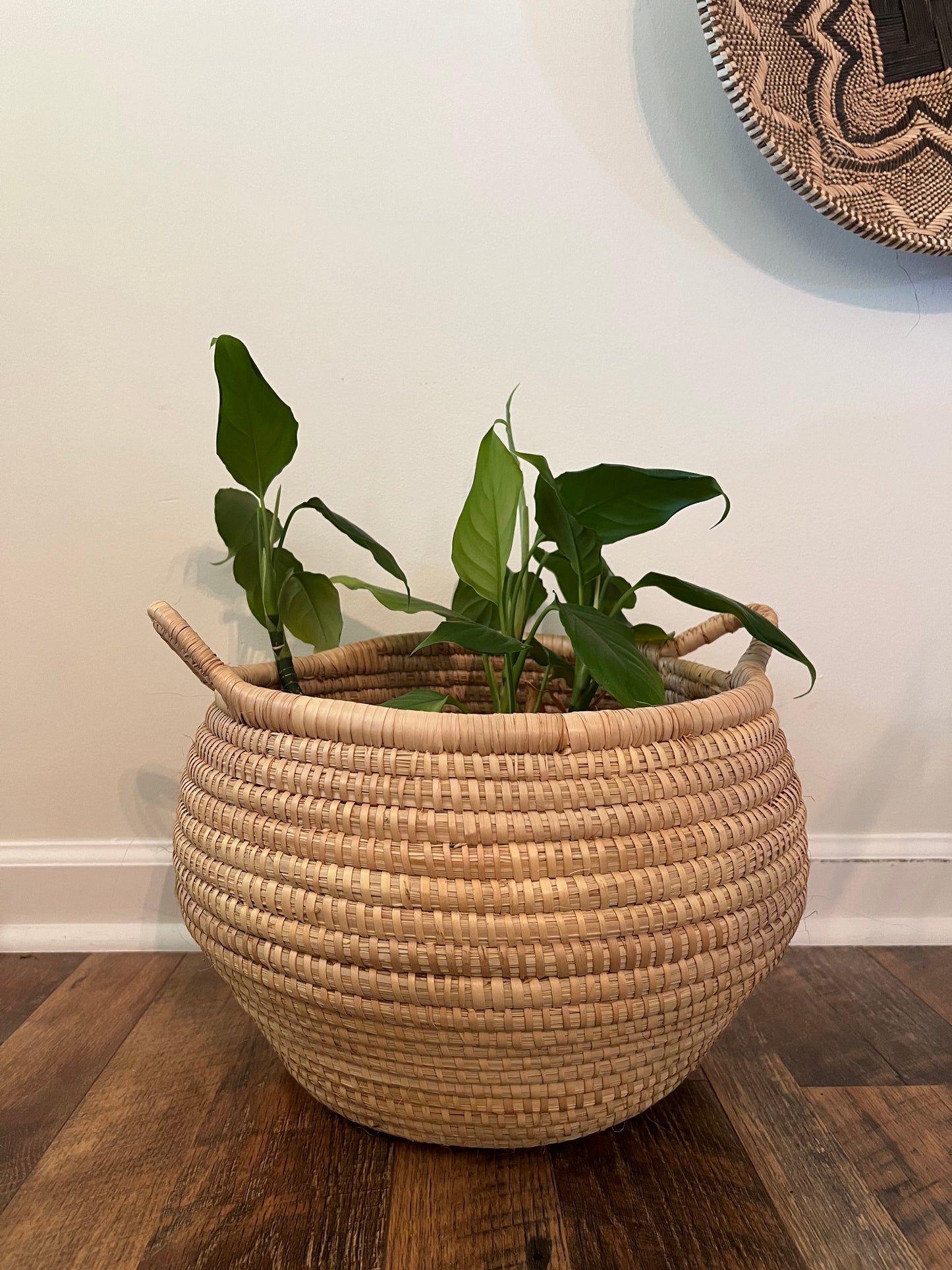 Palm Planter/Storage Basket