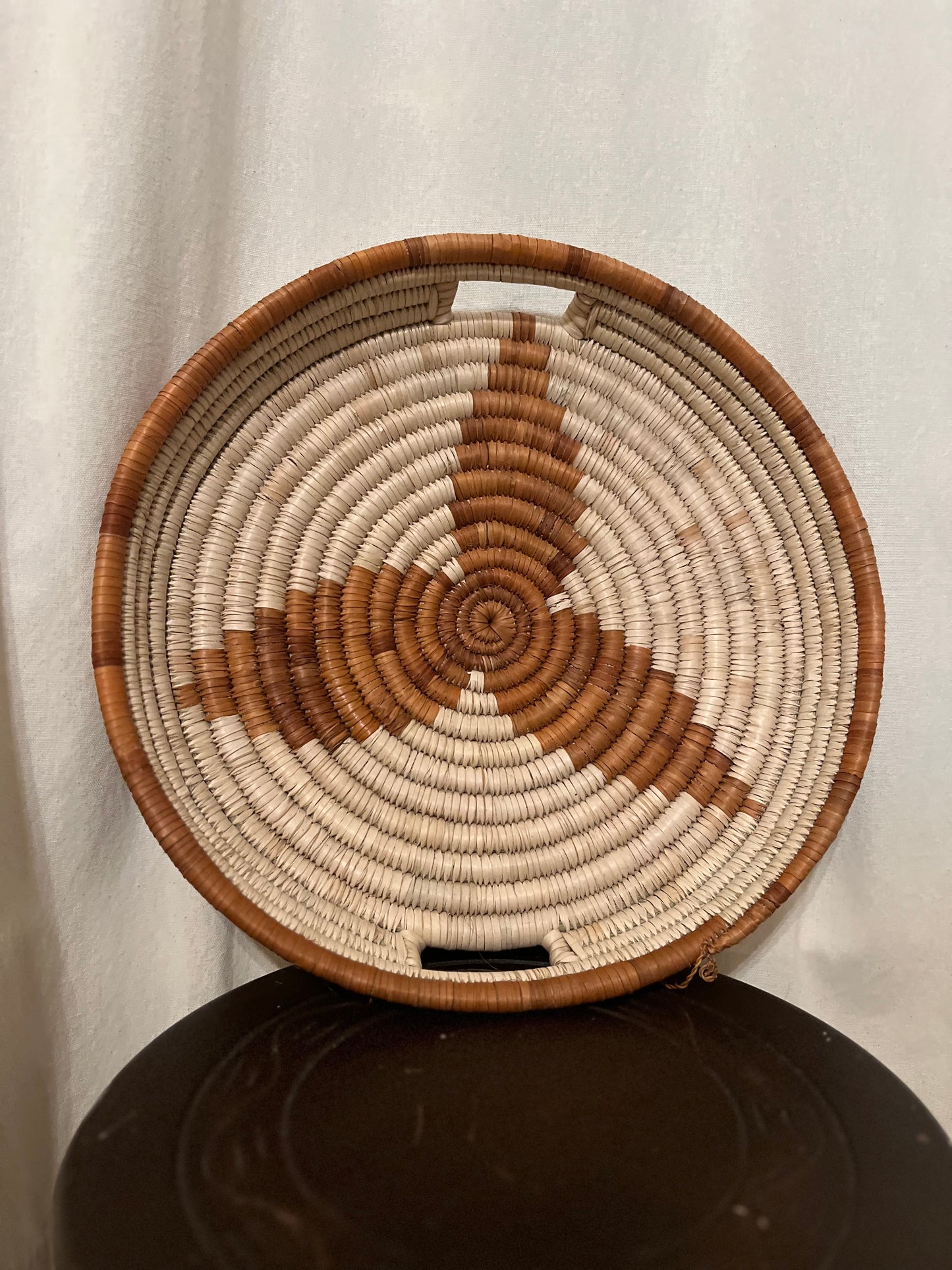 Palm Trays