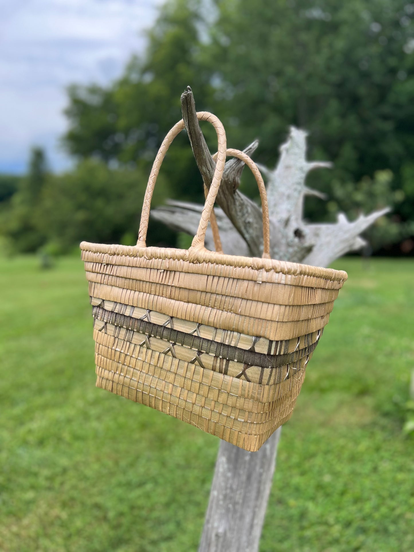 Palm Tote Basket-champagne gold