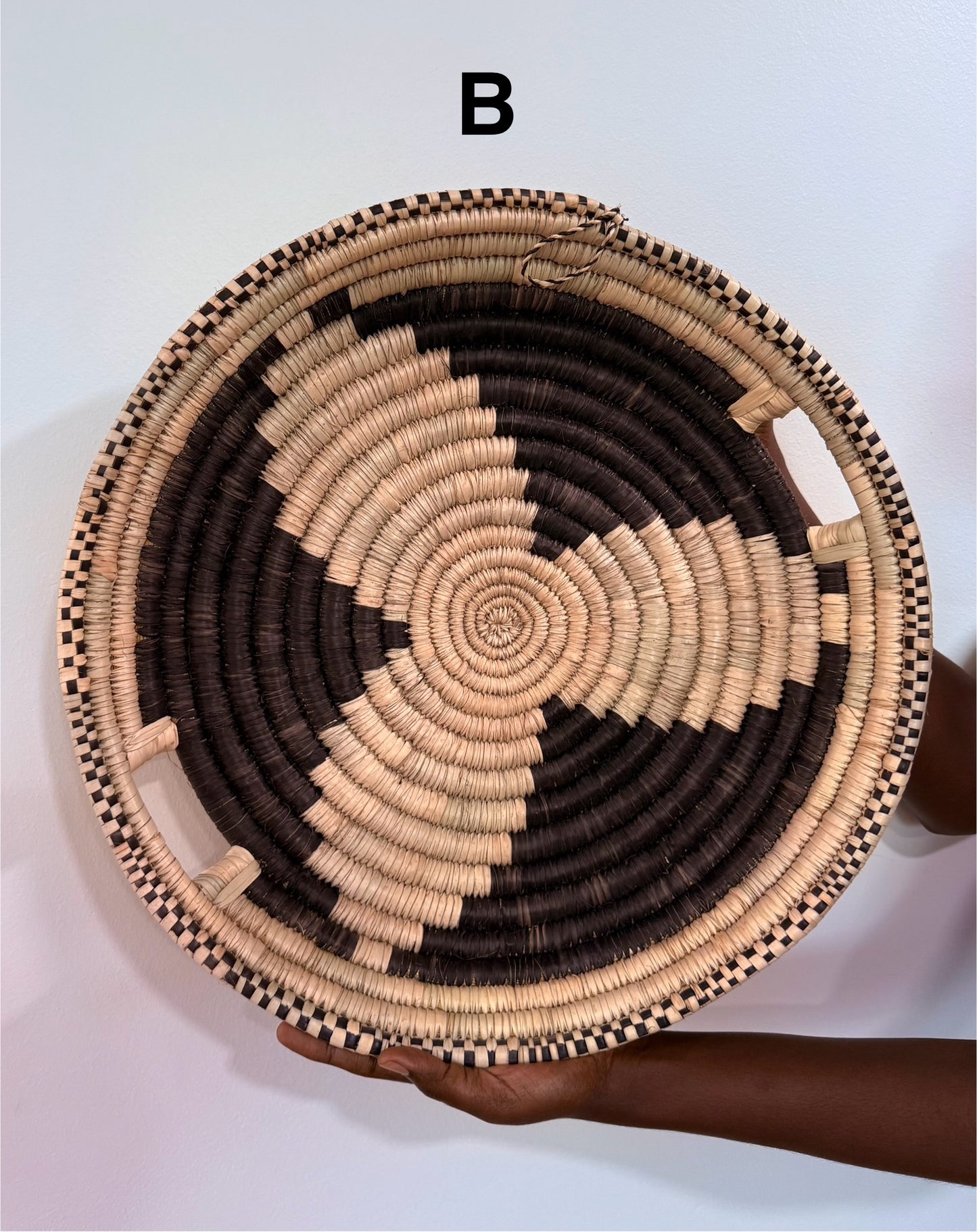 Palm Trays
