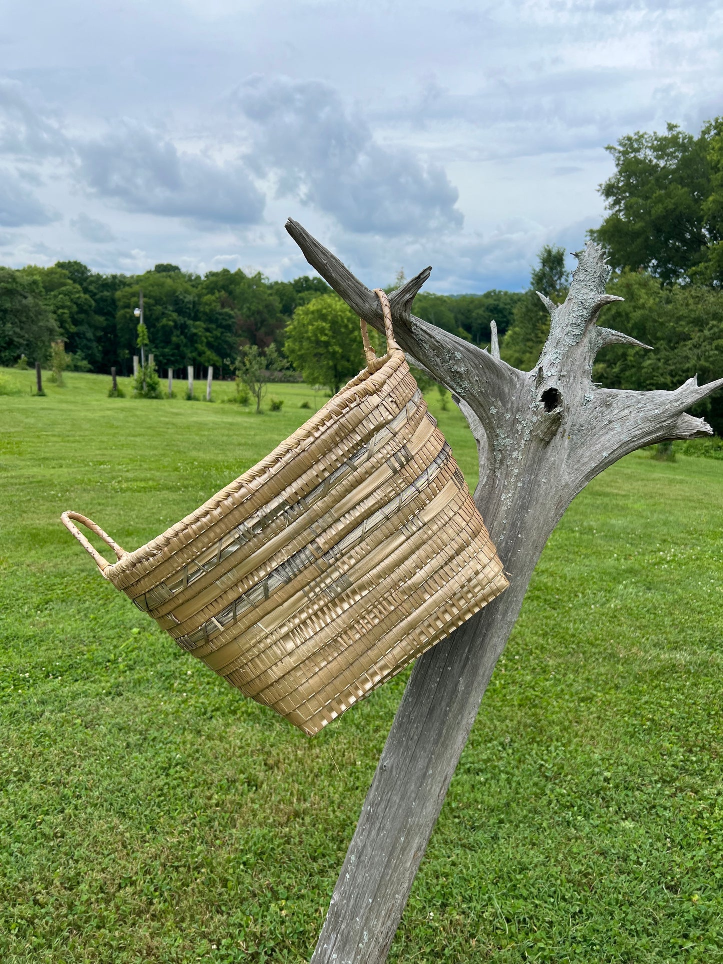 Side Handle Basket-champagne gold