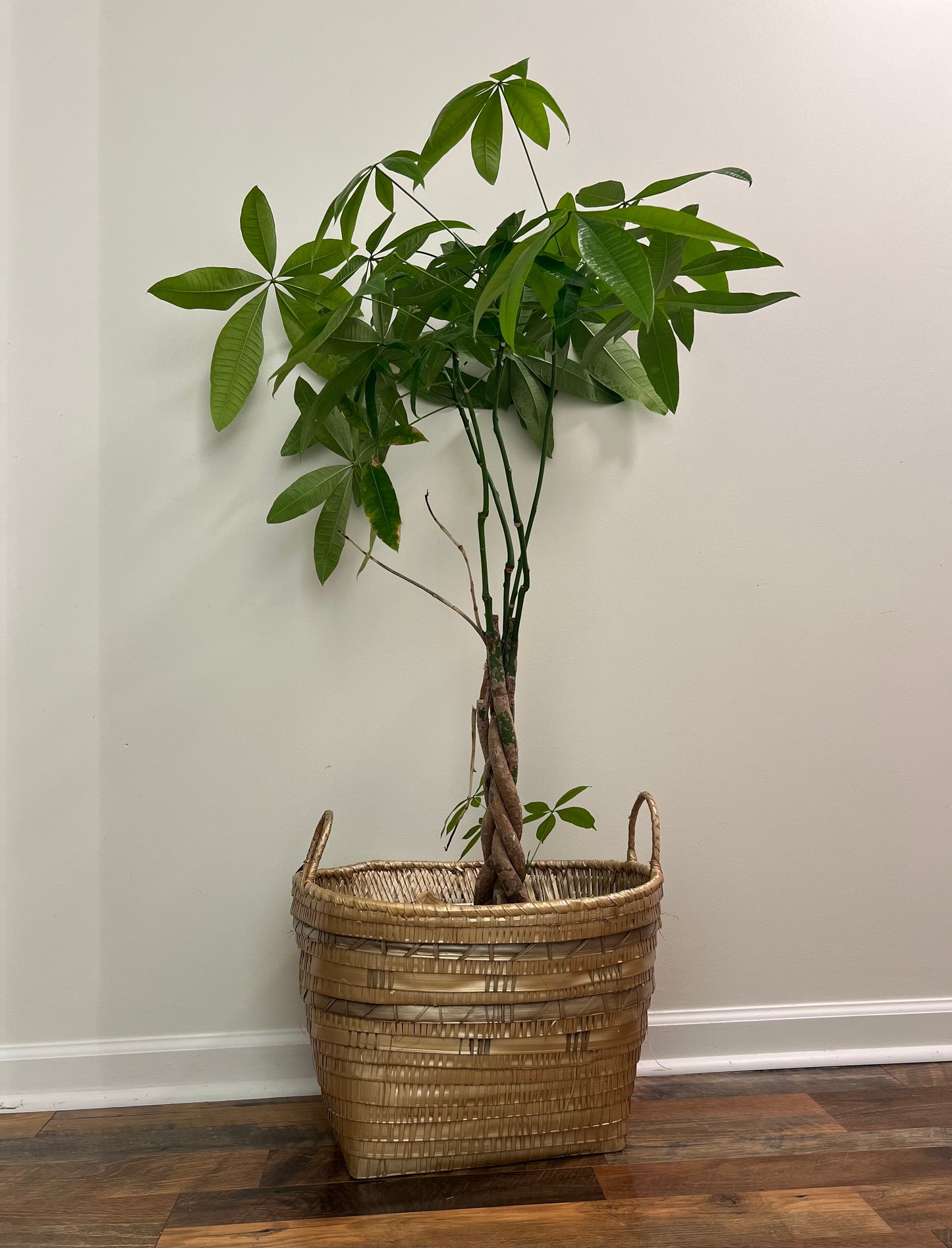 Side Handle Basket-champagne gold