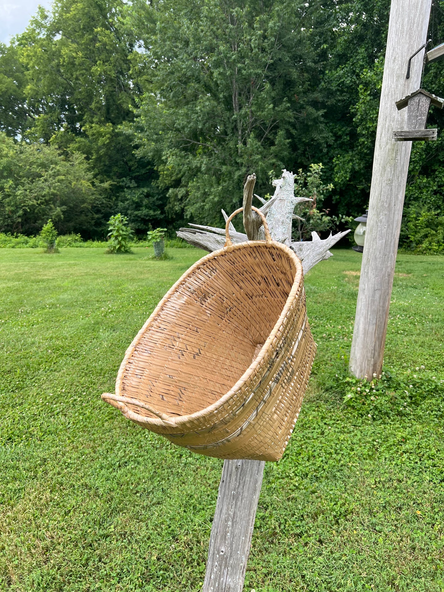 Side Handle Basket-champagne gold